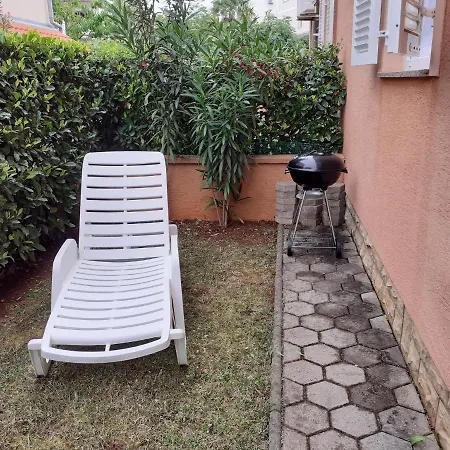 Conty With Terrace And Garden