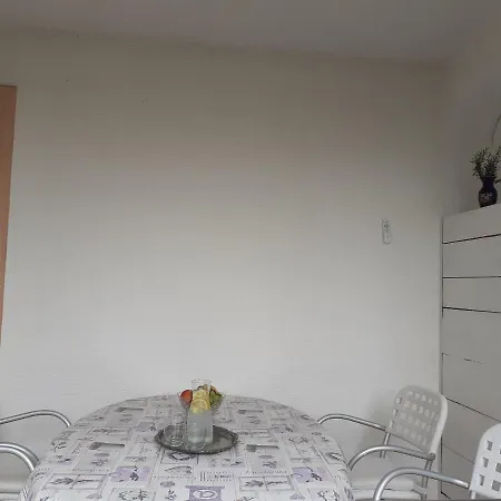 Conty With Terrace And Garden